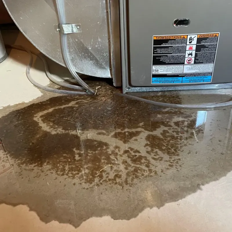 Pipe Burst and Leak Restoration in Cobleskill, NY